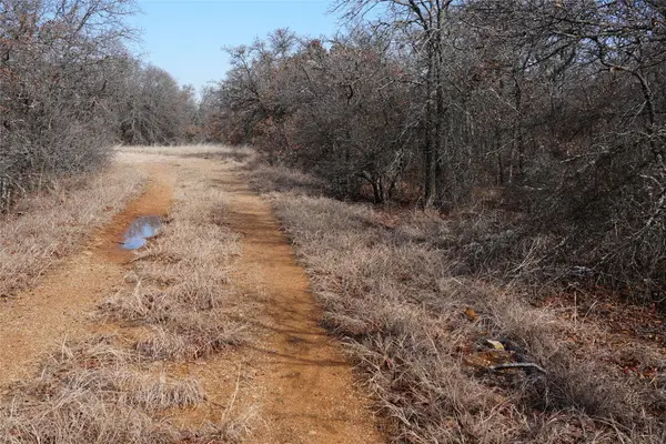 TBD Hwy 206, Cisco, TX 76437