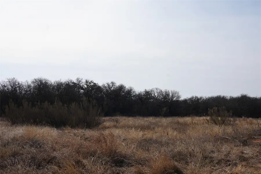 TBD Hwy 206, Cisco, TX 76437 - #3