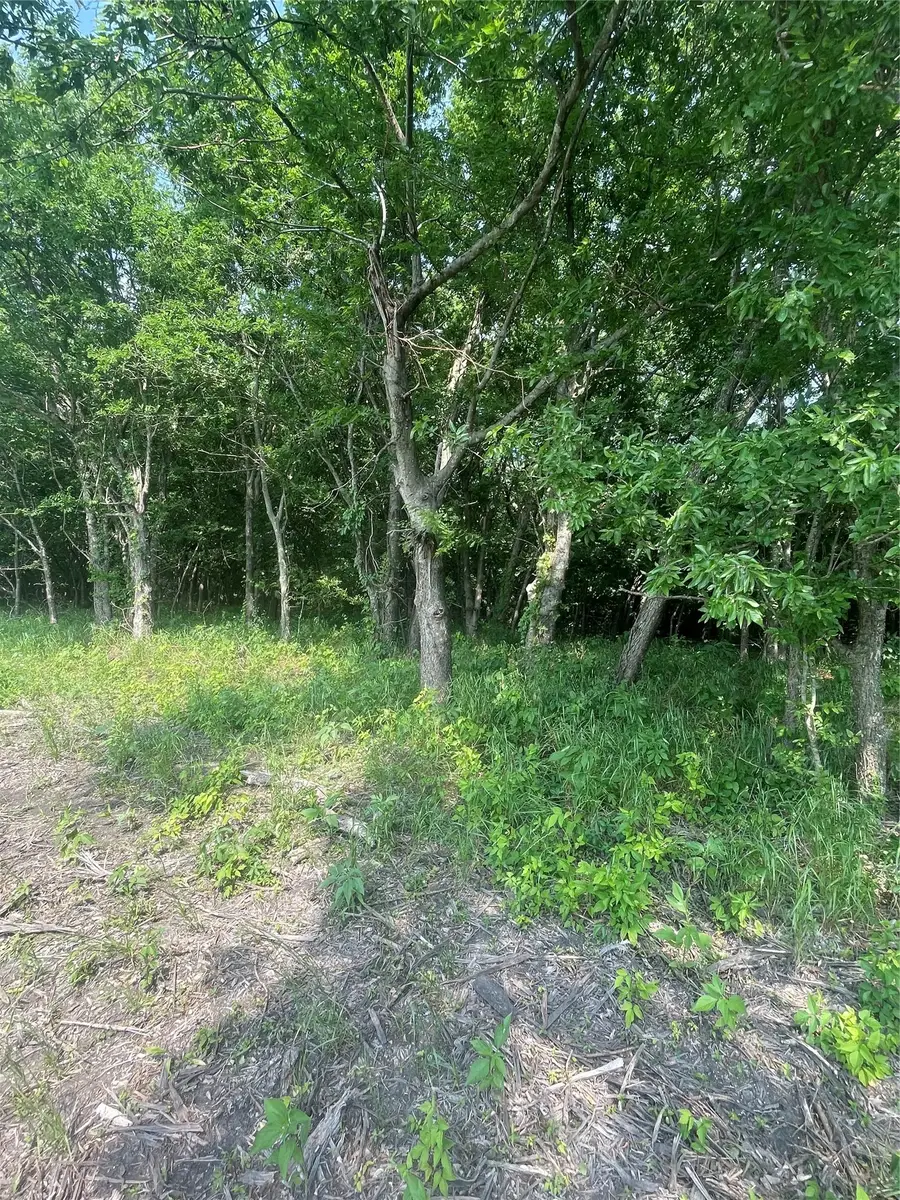 TBD County Line, Commerce, TX 75428 - #3