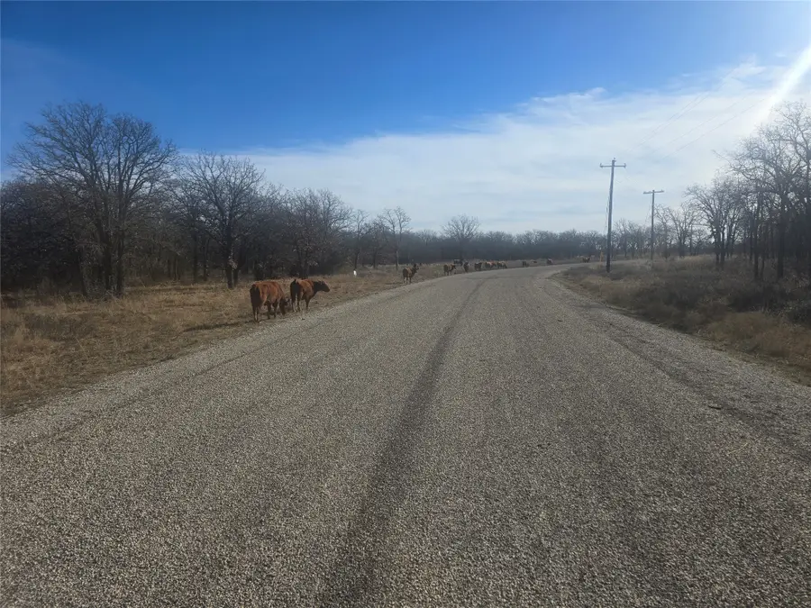 30 Oasis Ct Court, Perrin, TX 76449 - #3