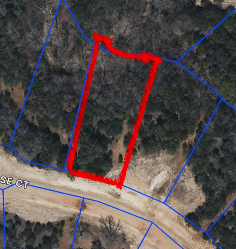 1036 Rose Court, Nemo, TX 76070 - Image #3