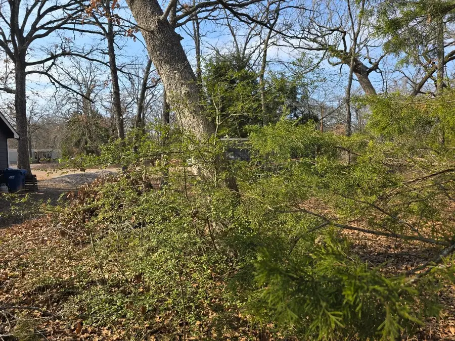 320 Double Bridge Road, Mabank, TX 75156 - #3