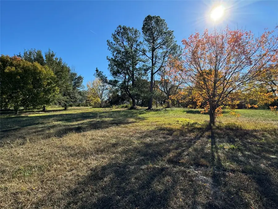 APN 442076 W Bells Boulevard, Bells, TX 75414 - Image #2