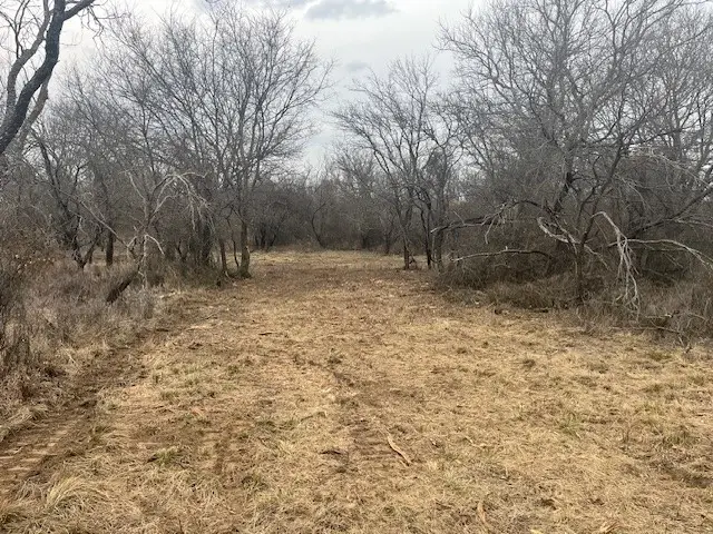 Tract 7 of 17 ac Burwick Road, Jacksboro, TX 76458 - #3