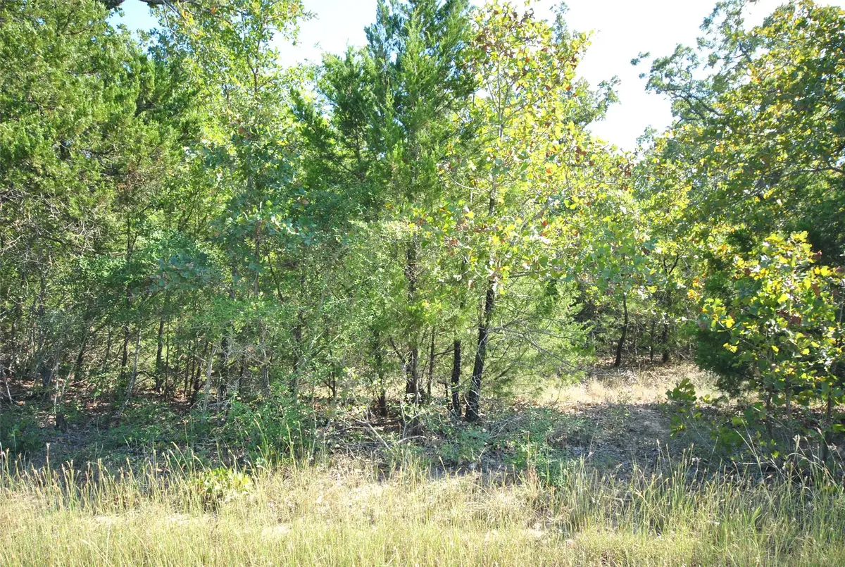 Lot 76 County Road 894 Drive, Jewett, TX 75846 - #1