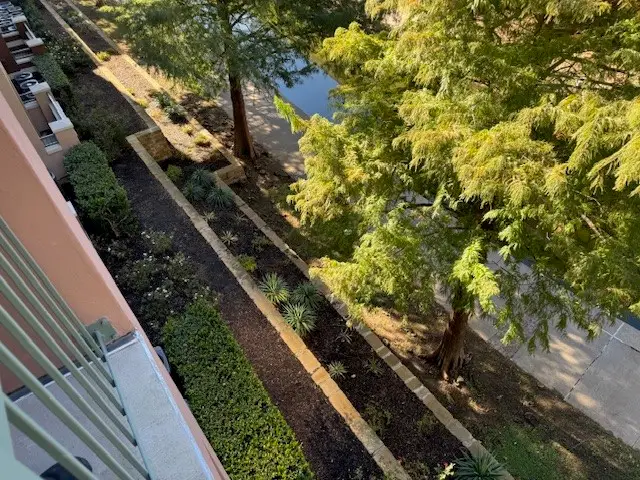 2316 Cunningham Street, Irving, TX 75062 - Image #3