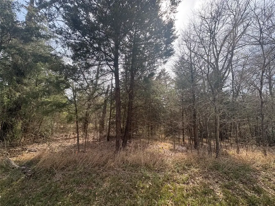 0000 Beachwood Drive, Trinidad, TX 75163 - #2