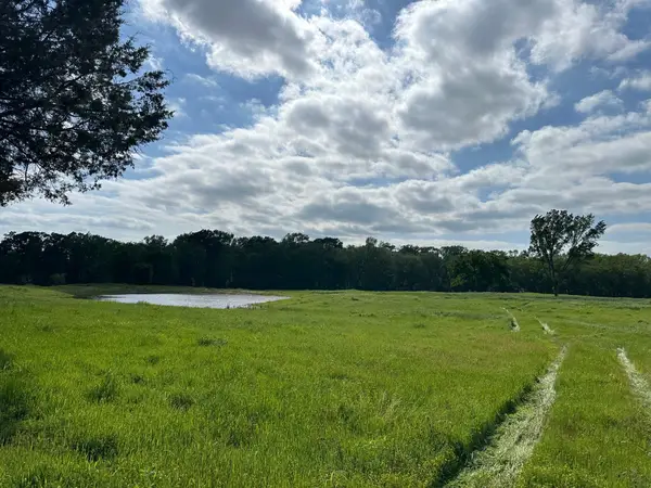 tbd County Road 4830, Winnsboro, TX 75494