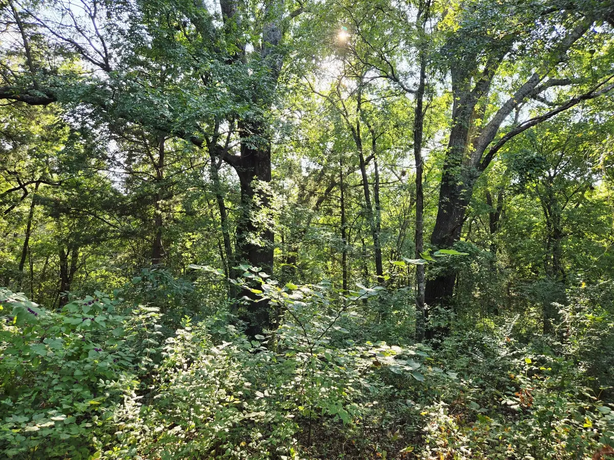 347 Copper Branch Road, Whitesboro, TX 76273 - #1