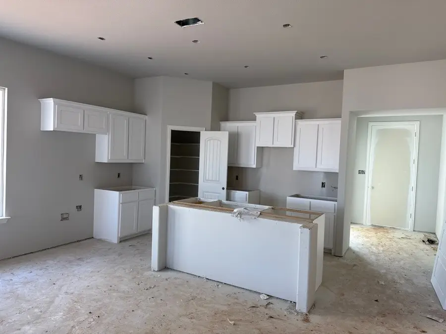 1225 Sabine River Lane, Springtown, TX 76082 - Image #3