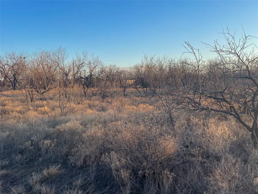 TBD S Access Rd, Tye, TX 79603 - #2
