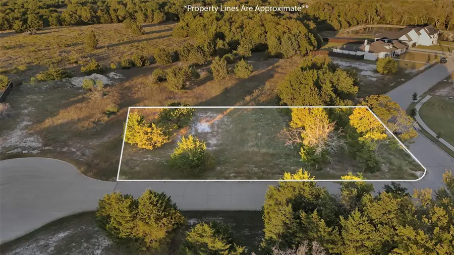 4911 Golden Bell Lane, Midlothian, TX 76065 - #2