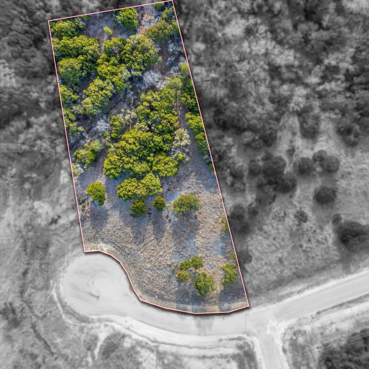 1204 County Road 407a, Nemo, TX 76070 - Image #1