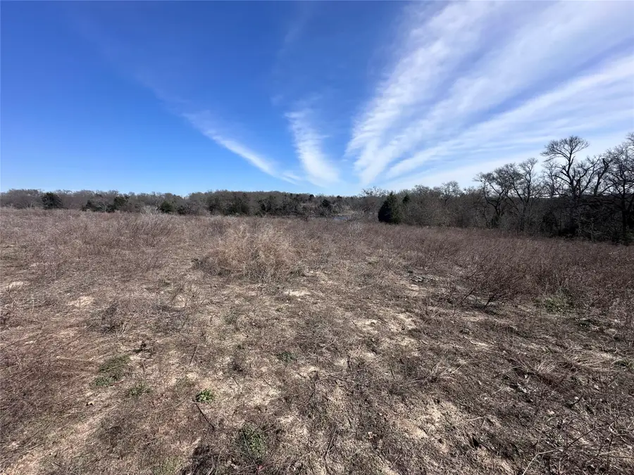 TBD Wooded Creek Drive, Athens, TX 75751 - #3