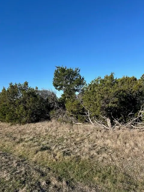 6532 Ladybank Court W, Cleburne, TX 76033 - #3