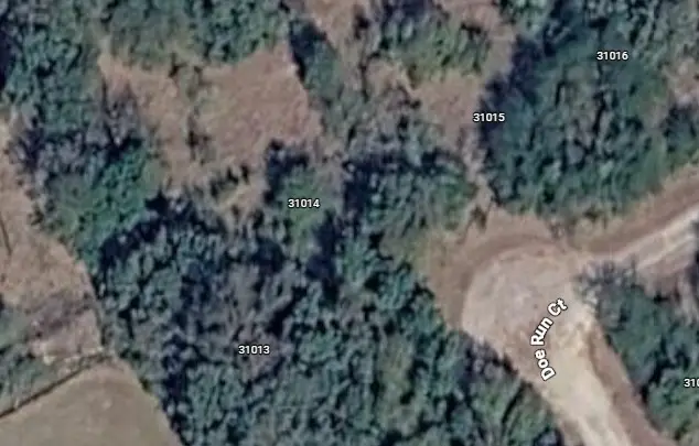 31014 Doe Run Court, Whitney, TX 76692 - Image #3