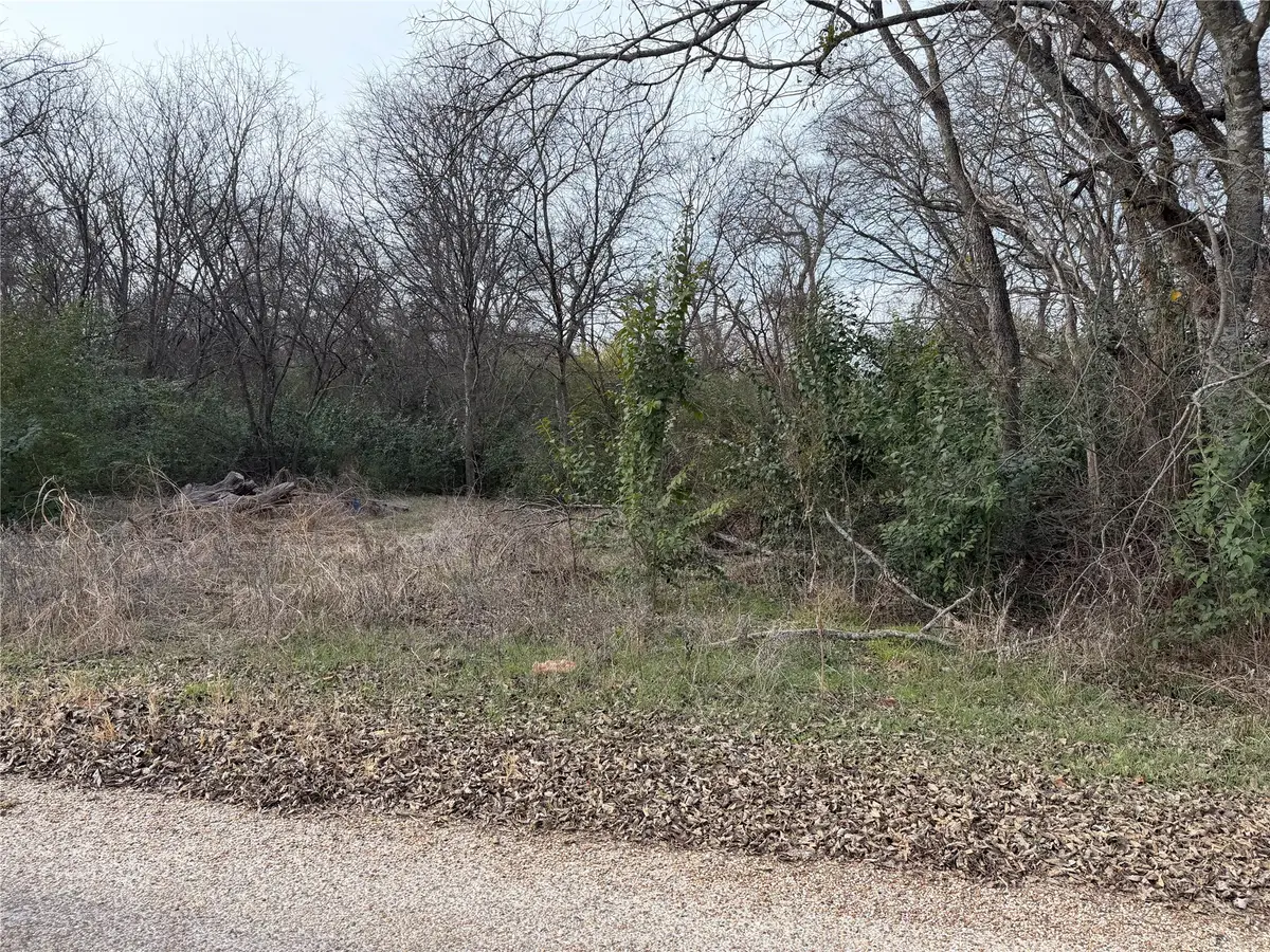 125 County Road 1236, Kopperl, TX 76652 - #1