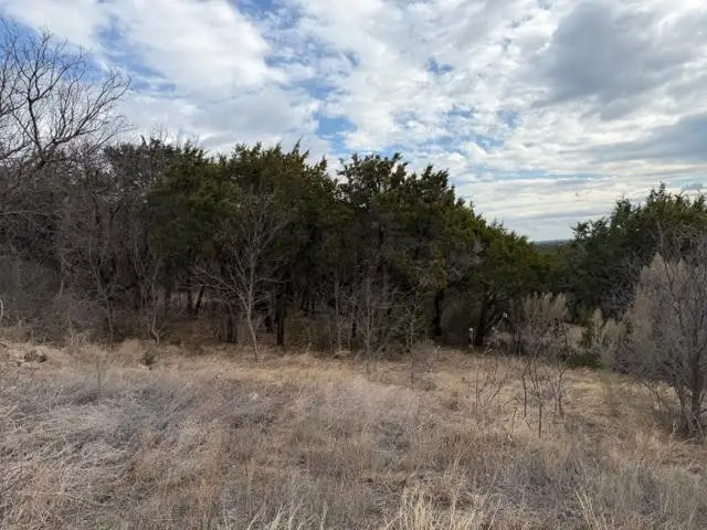 Lot 361 Canyon Wren Loop, Possum Kingdom Lake, TX 76449 - #2