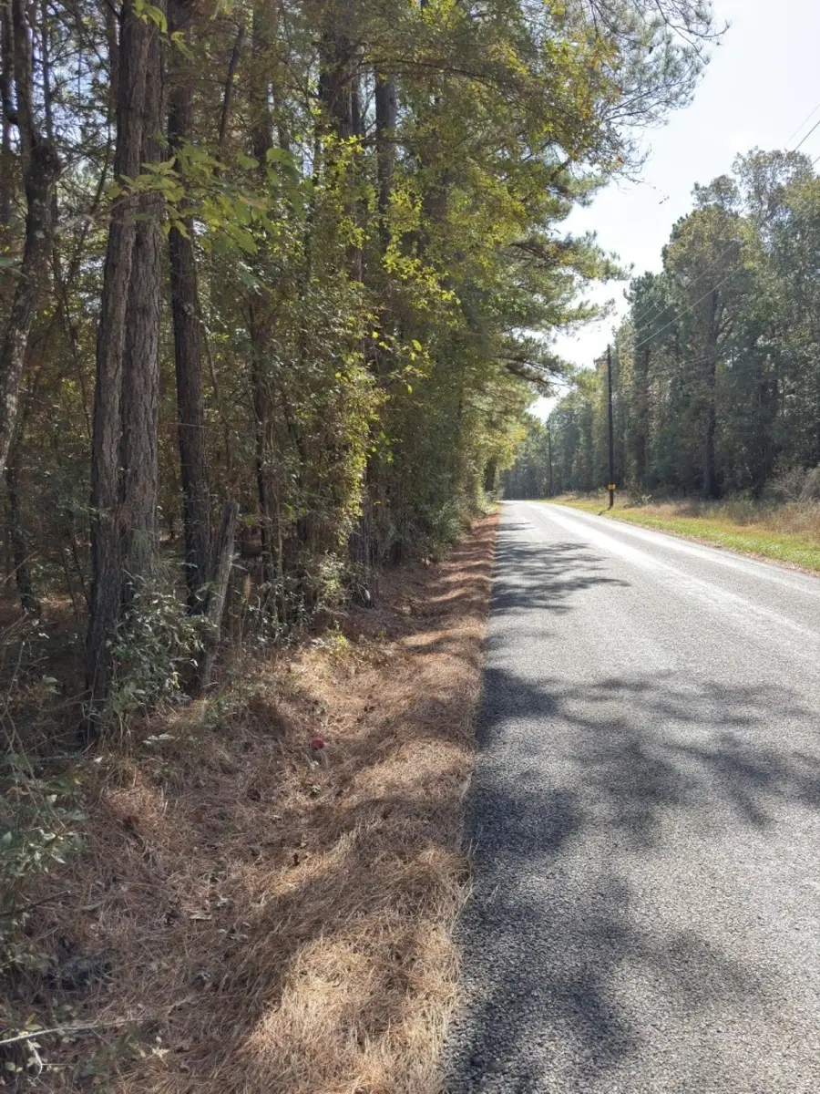 TBD-B Boggy Rd, Waskom, TX 75692 - #2