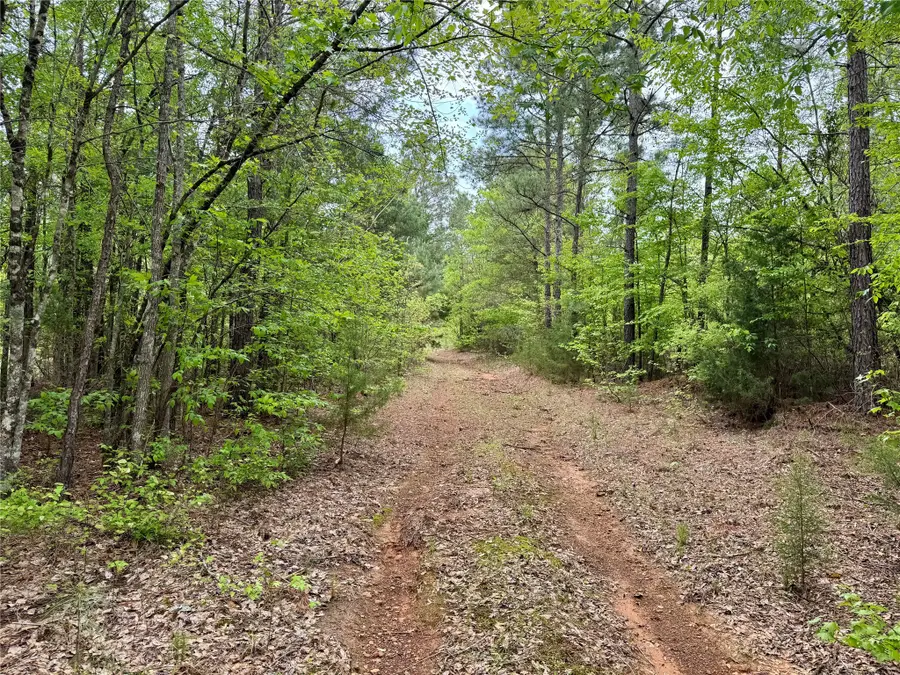 TBD County Road 2742, Naples, TX 75568 - #2