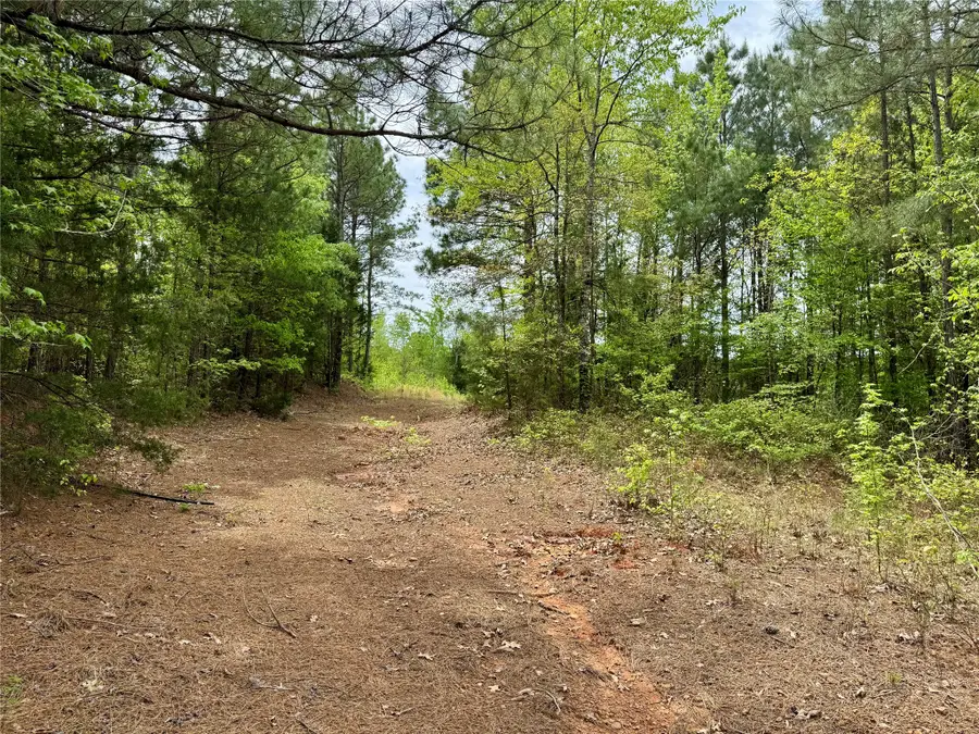 TBD County Road 2742, Naples, TX 75568 - #3