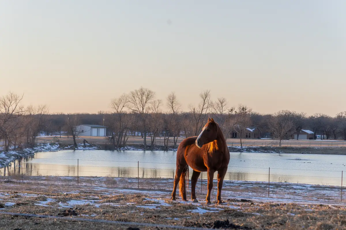 189 Nautilus Court, Decatur, TX 76234 - #1