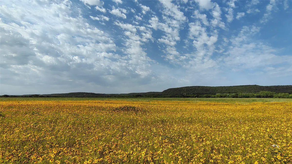 TBD (Tract 2) Cr 228, Abilene, TX 79602 - #1