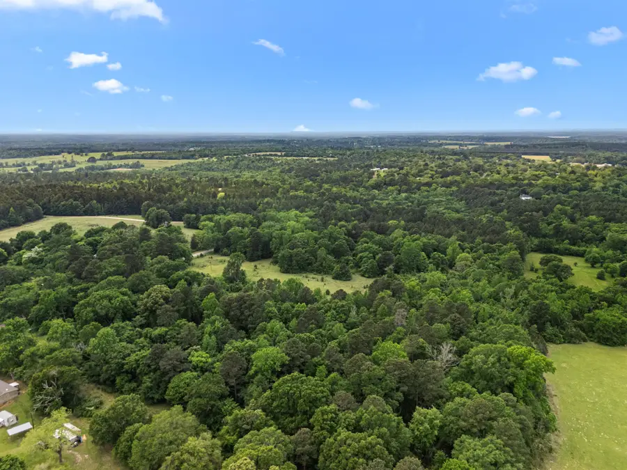 21360 County Road 294, Arp, TX 75750 - #2