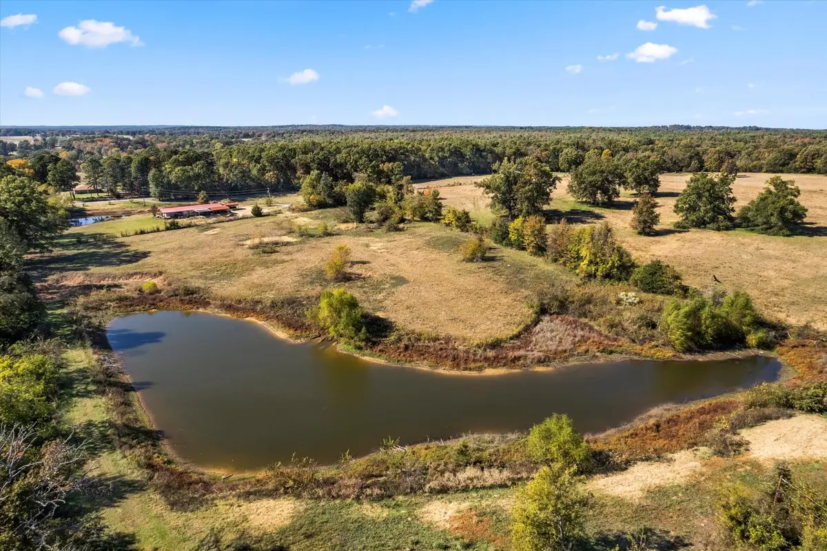 2096 Fm 21, Pittsburg, TX 75686 - #1