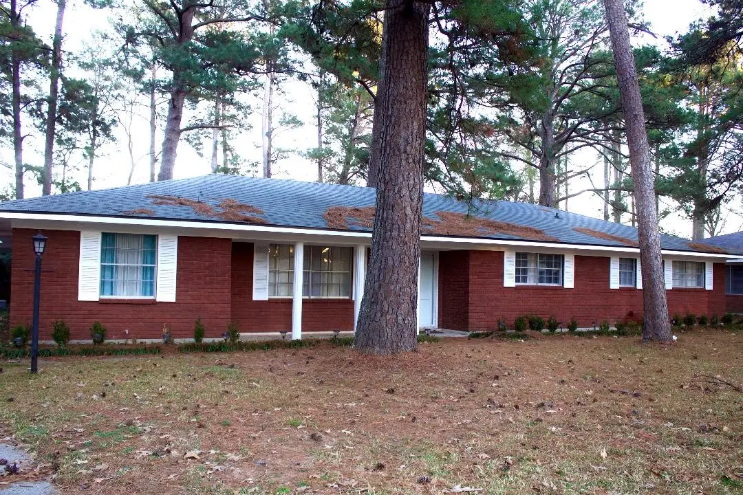 9409 Francais Drive, Shreveport, LA 71118 - #1