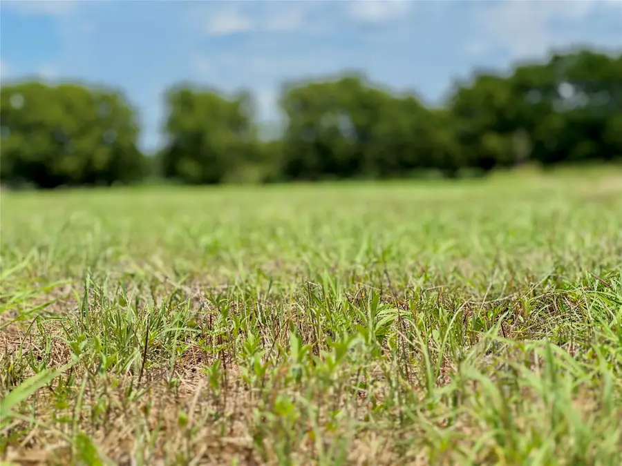 Lot 12 Cr-590, Nevada, TX 75173 - #2