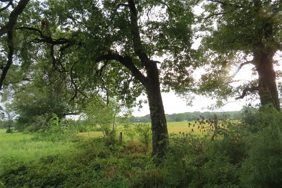 355 Cr 3204, Quitman, TX 75783 - #2