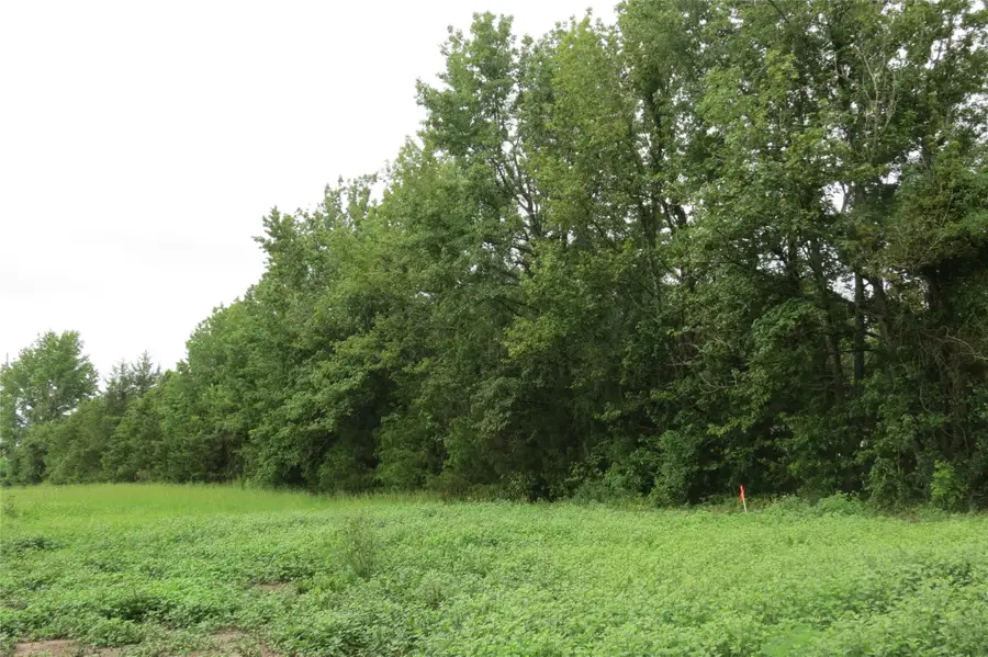 355 Cr 3204, Quitman, TX 75783 - #3