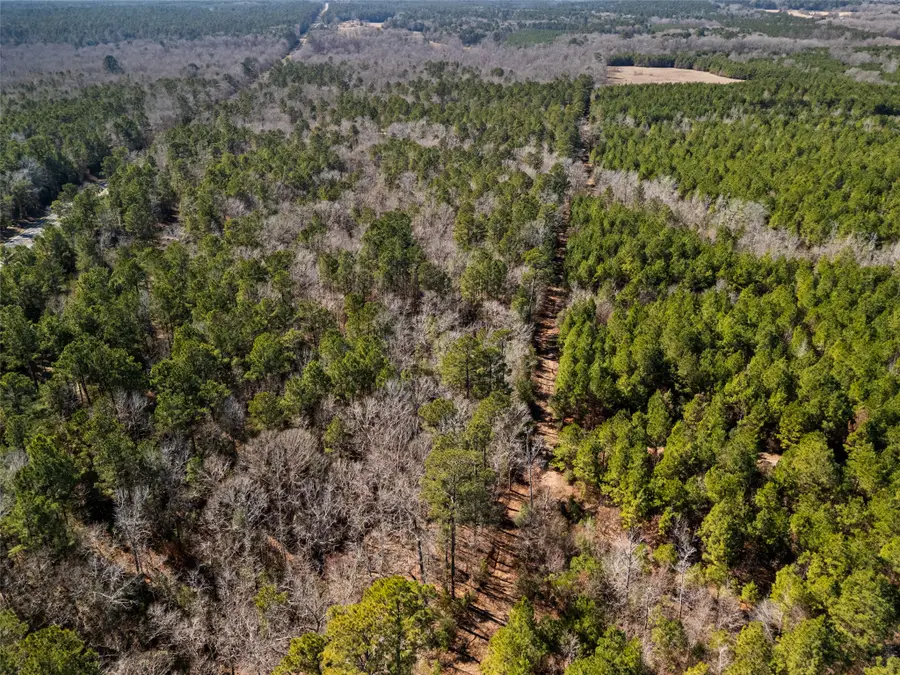 3895 Us Highway 84 W, Rusk, TX 75785 - #3