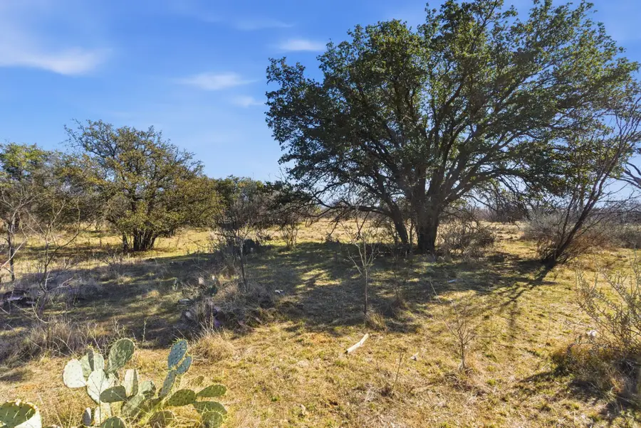 Tract 2 Fm 880, Moran, TX 76464 - #3