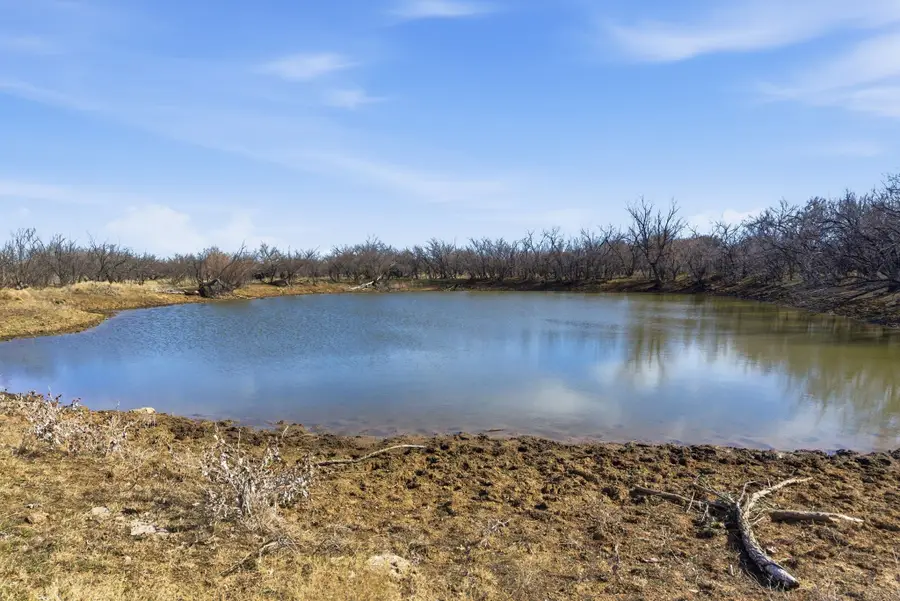 Tract 3 Fm 880, Moran, TX 76464 - #3