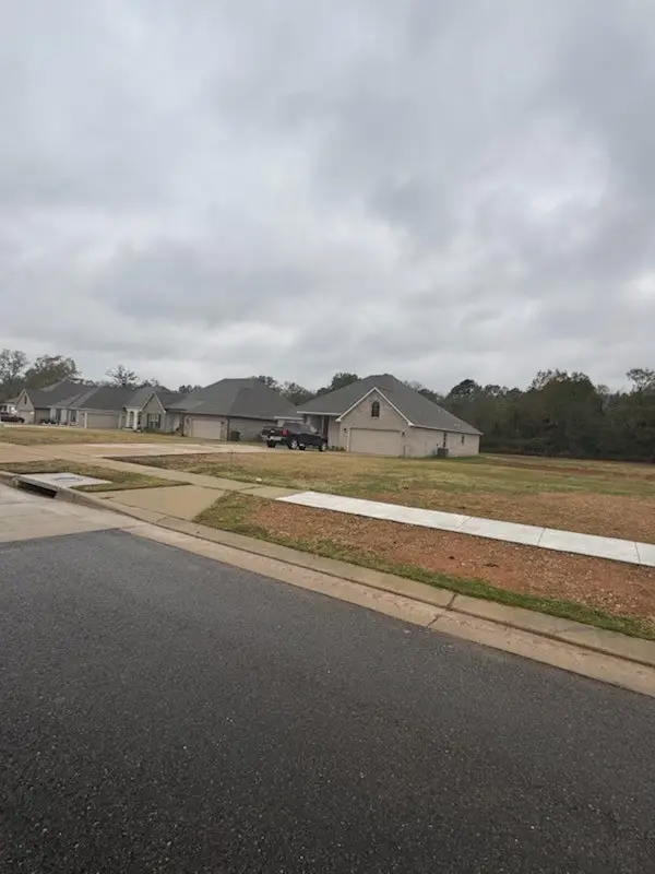 4036 Jayce Michael Drive, Shreveport, LA 71107 - #2