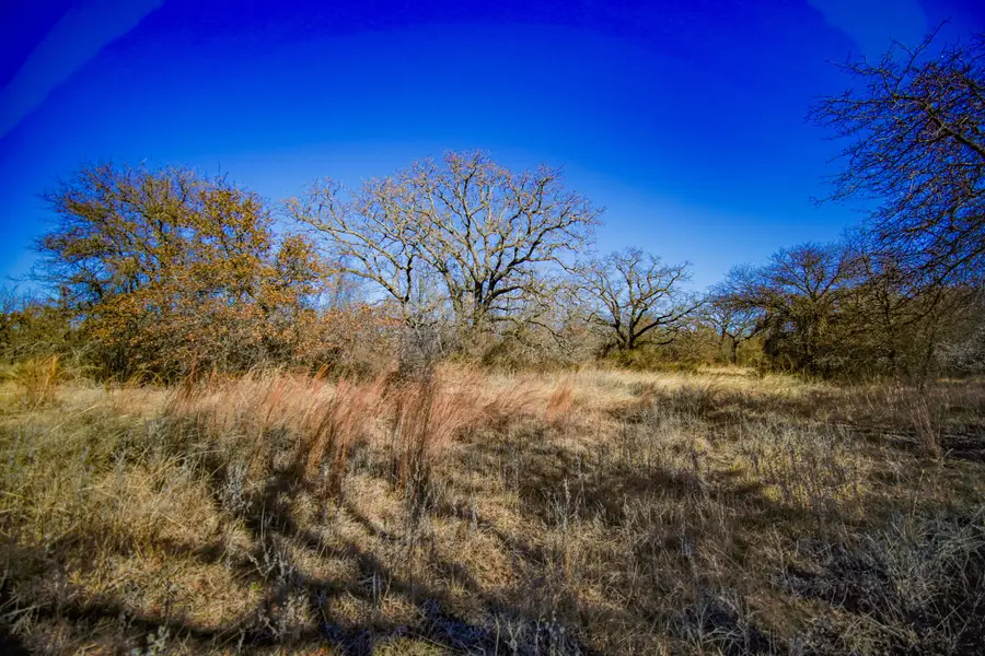 240 Acres Middlebrooks Lane, Jacksboro, TX 76458 - #3