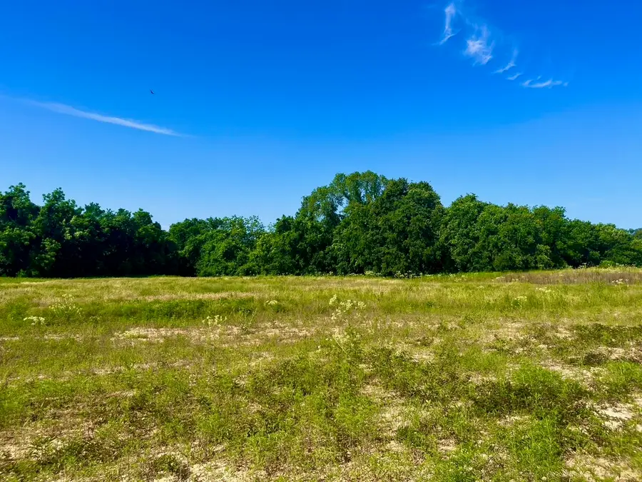 Lot 65 Kilkenny Road, Poolville, TX 76487 - #3