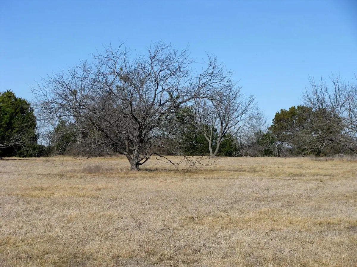 TBD Lot 2 Old Pidcoke Road, Gatesville, TX 76528 - #1
