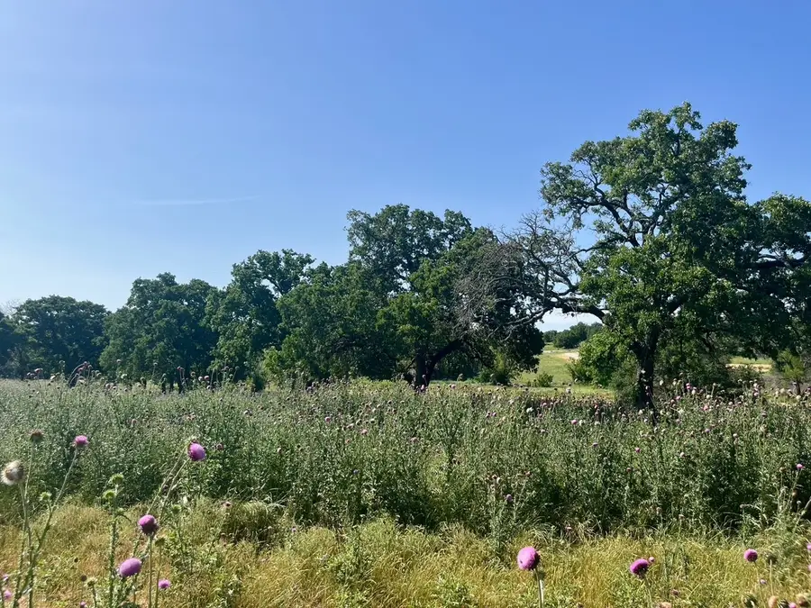 Lot 75 Kilkenny Road, Poolville, TX 76487 - #3