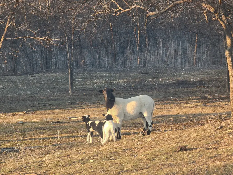 7145 County Road 1009 Road, Godley, TX 76044 - #2