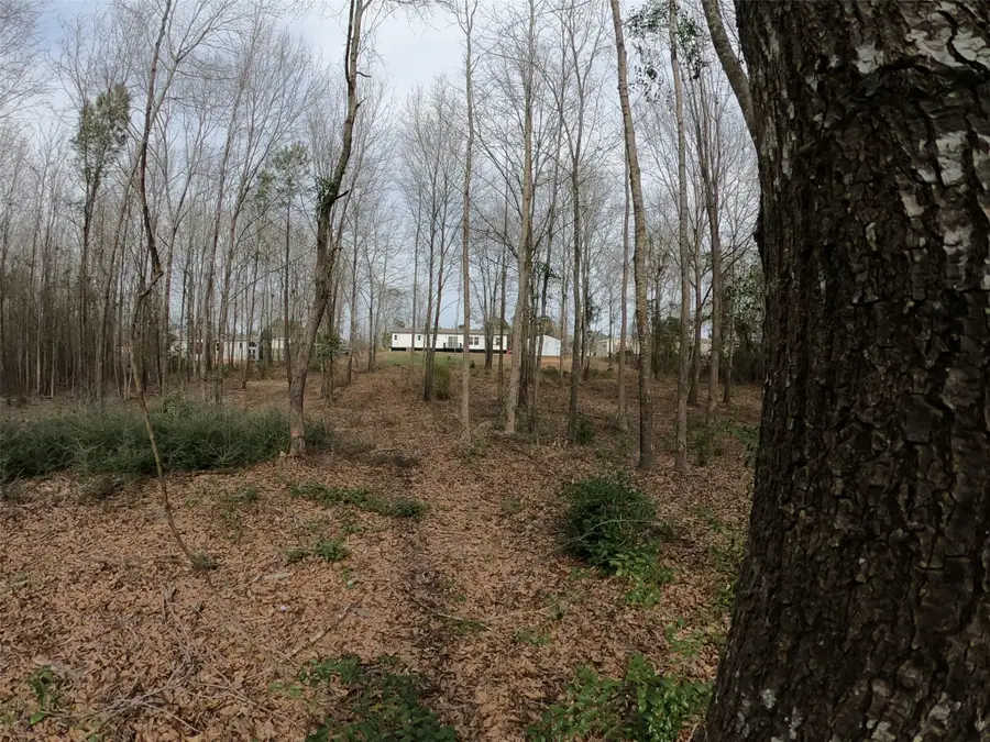 141 Tanglewood Drive, Gilmer, TX 75645 - #3