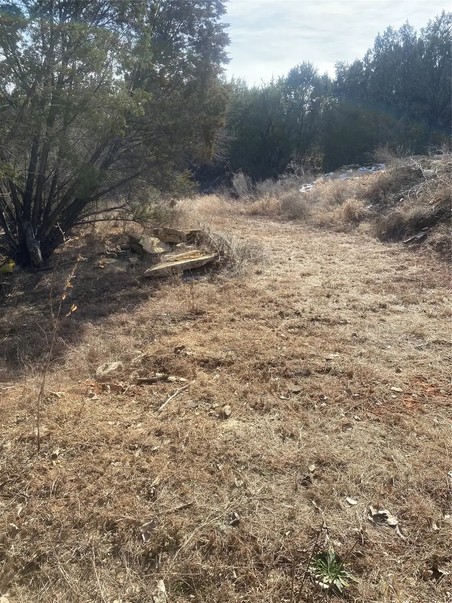 3217 Lakeside Drive, Granbury, TX 76048 - #3