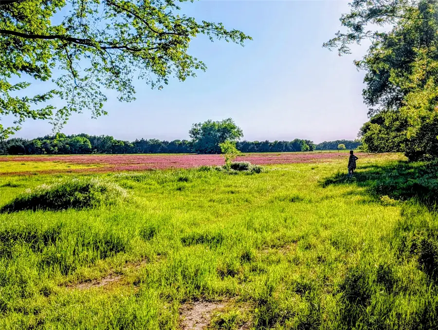 907 Welch School Road, Collinsville, TX 76233 - #3