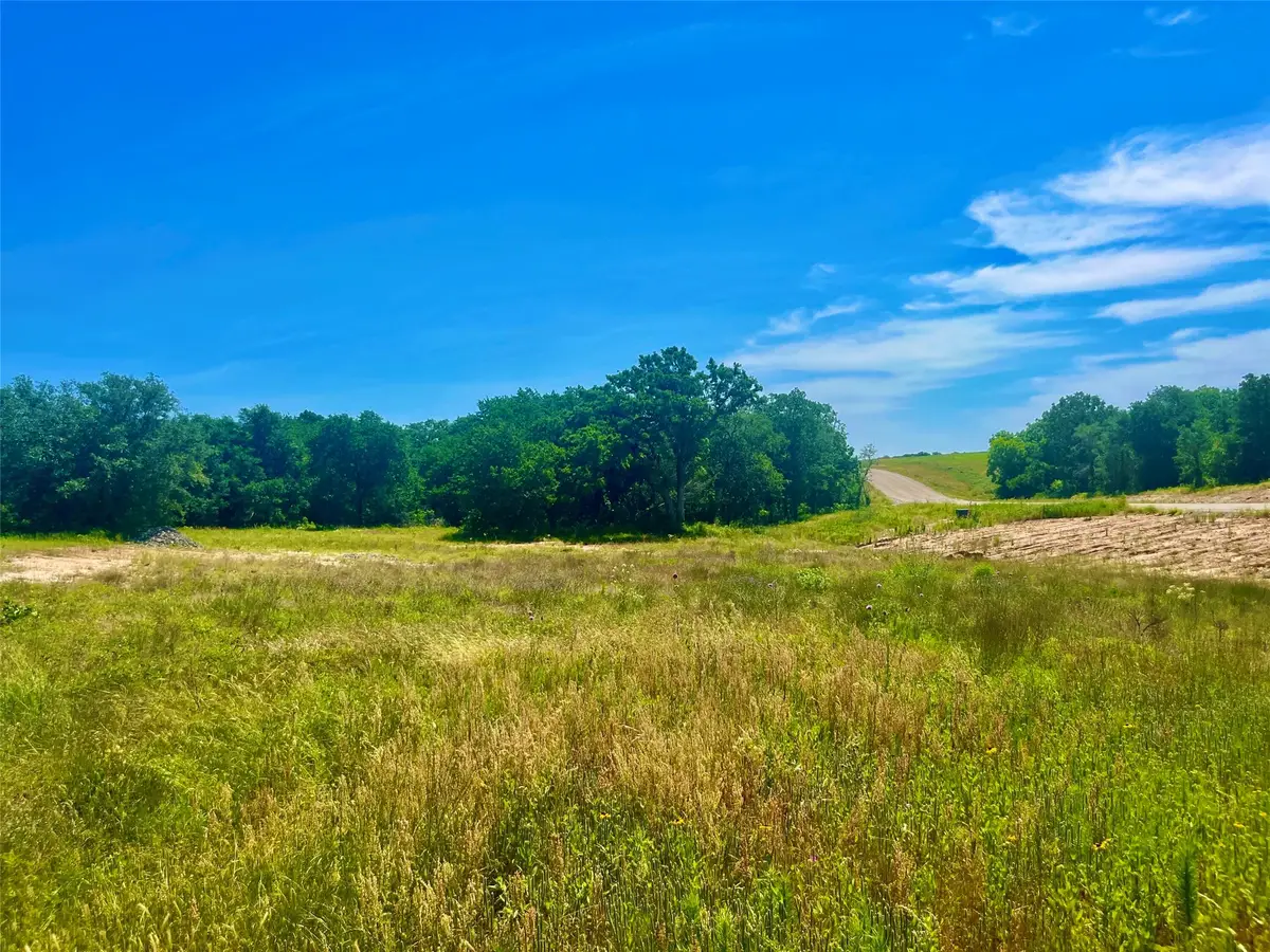 Lot 96 Kilkenny Road, Poolville, TX 76487 - #1