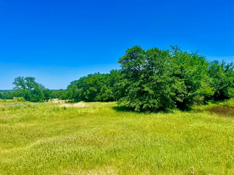 Lot 36 Kilkenny Road, Poolville, TX 76487 - #3