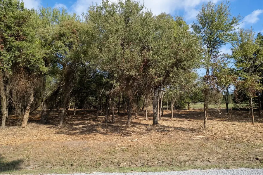 LOT 4 Mcfarlin Road, Collinsville, TX 76233 - #2