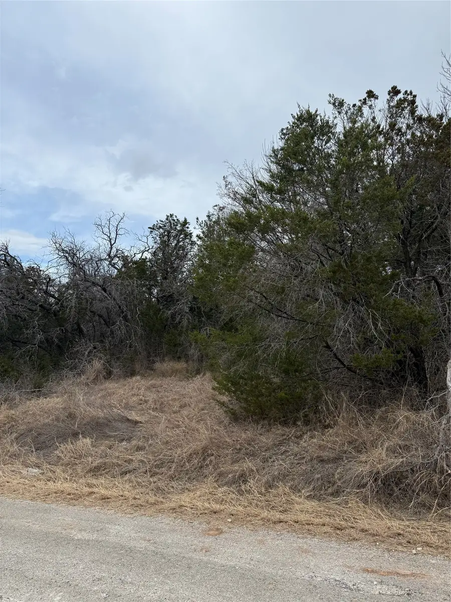 4611 Evening View Drive, Granbury, TX 76048 - #2