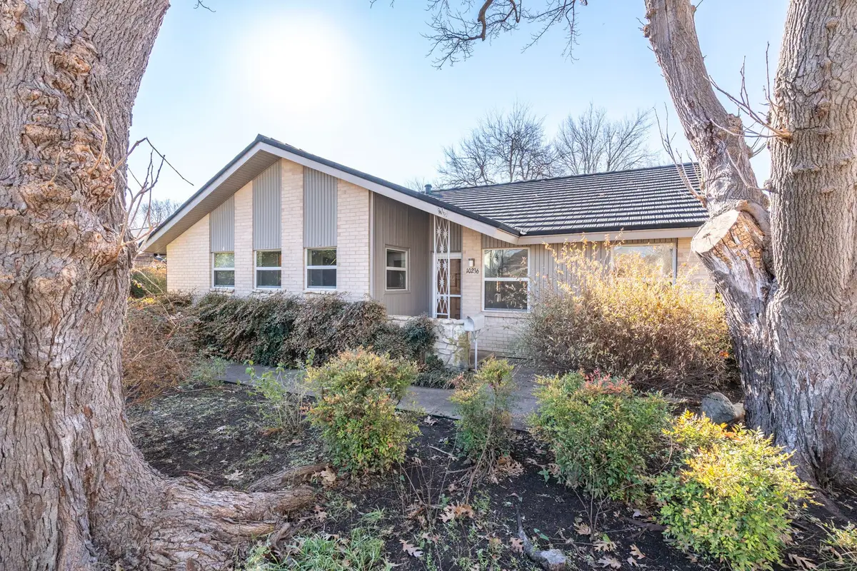 10236 Mapleridge Drive, Dallas, TX 75238 - Image #1